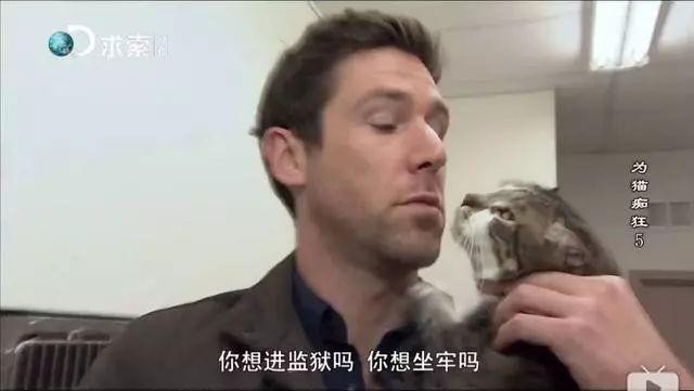 美国竟然给三只猫判了终身监禁！监狱犯人秒变铲屎官