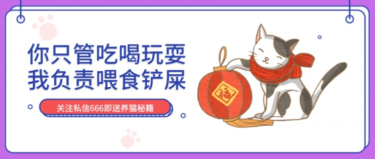 你收养的流浪猫，现在怎么样了？